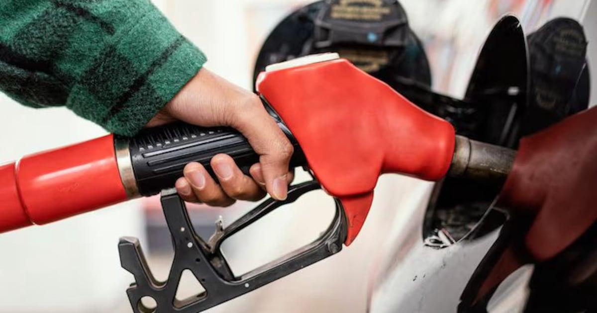 Comparação de gasolina: comum, aditivada ou premium com menos etanol