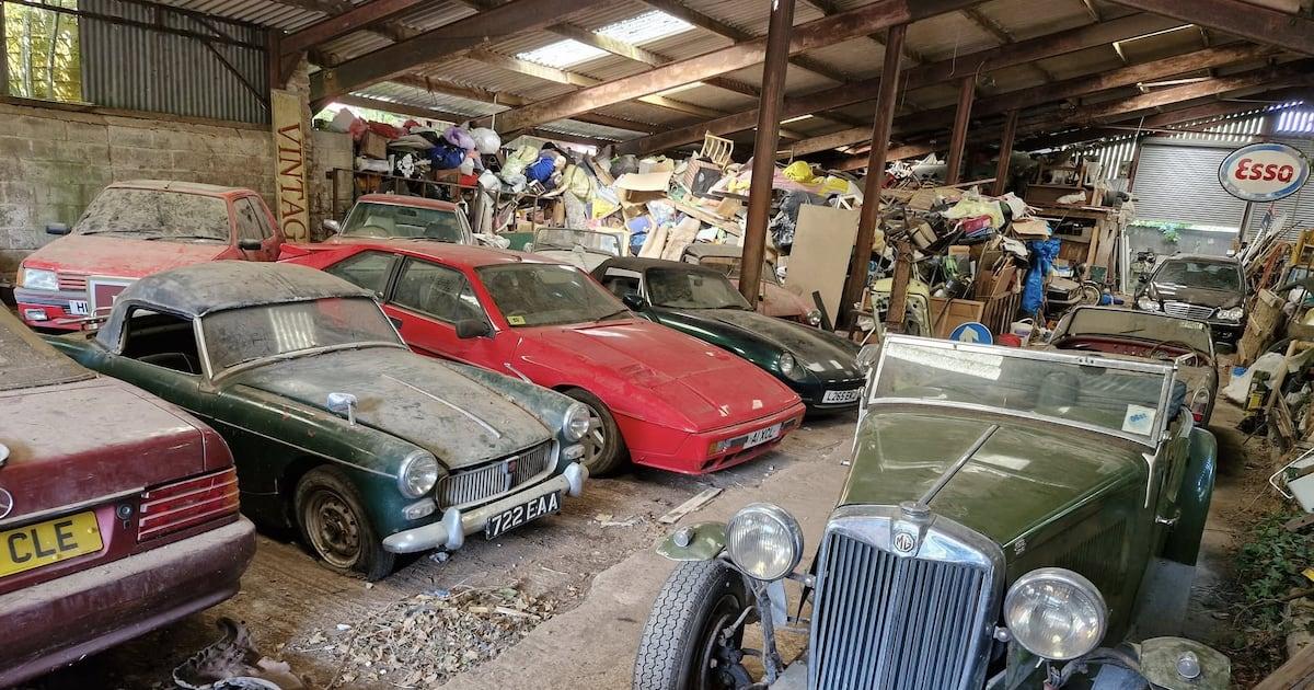 Leilão revela tesouro de 200 carros clássicos esquecidos em galpão